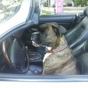 Meet your Posher, Tamira